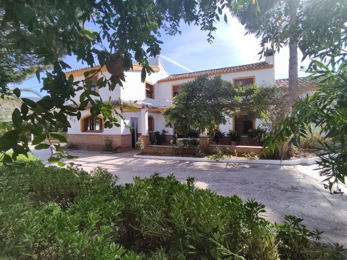 Paredejas Del Rey Priego de Córdoba Esterno foto