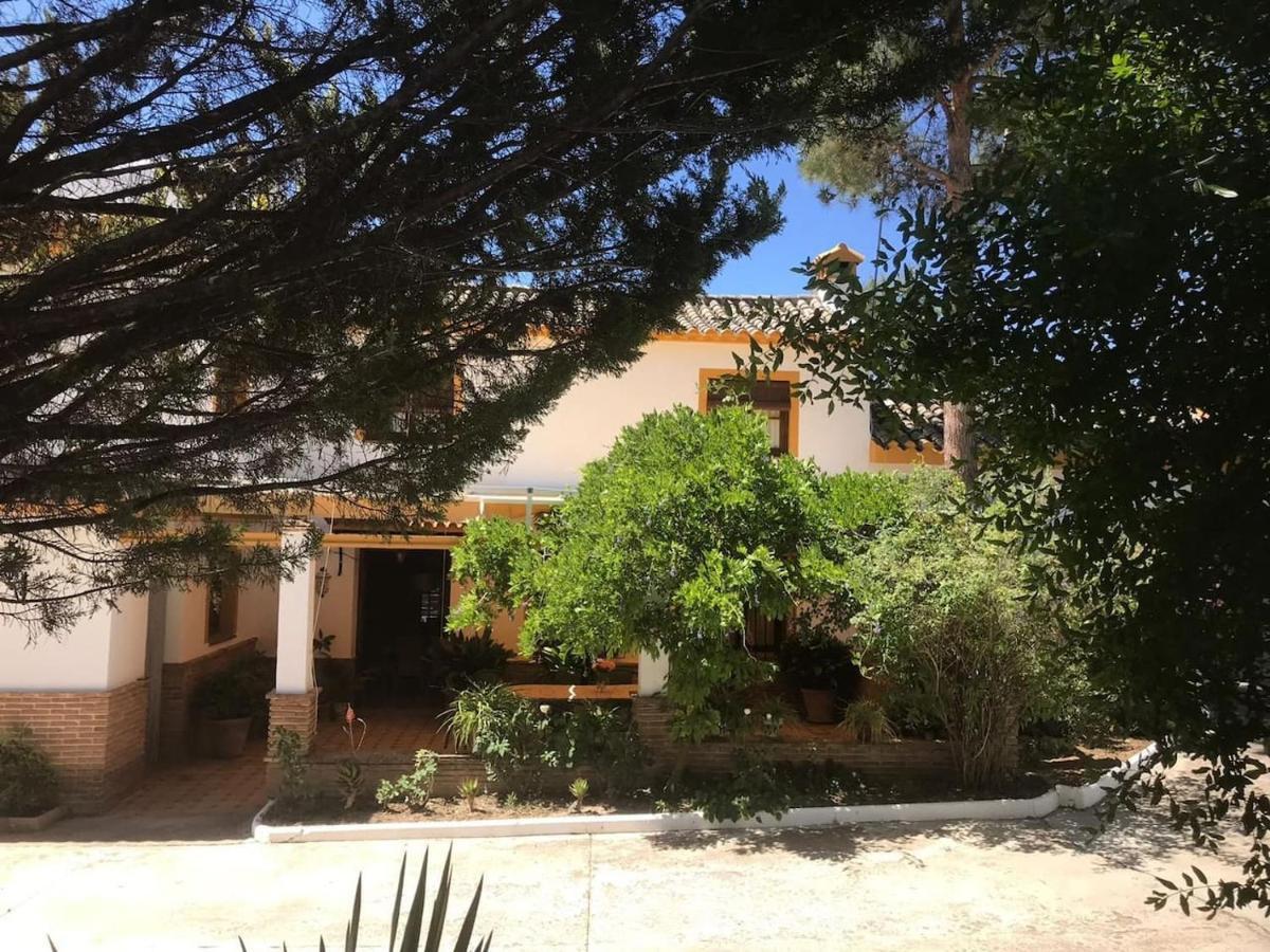 Paredejas Del Rey Priego de Córdoba Esterno foto